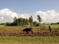 2012097522 Blue Nile Falls & Lake Tana - Ethioipia - Oct 05