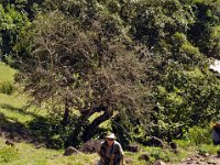 2012097537 Blue Nile Falls & Lake Tana - Ethioipia - Oct 05