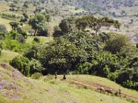 2012097539 Blue Nile Falls & Lake Tana - Ethioipia - Oct 05