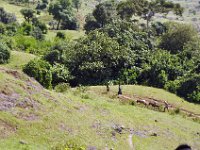 2012097540 Blue Nile Falls & Lake Tana - Ethioipia - Oct 05