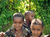 2012097600 Blue Nile Falls & Lake Tana - Ethioipia - Oct 05