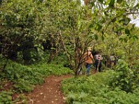2012097635 Blue Nile Falls & Lake Tana - Ethioipia - Oct 05