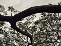 2012097638 Blue Nile Falls & Lake Tana - Ethioipia - Oct 05