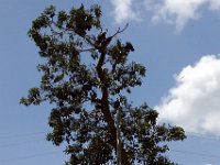 2012097659 Blue Nile Falls & Lake Tana - Ethioipia - Oct 05