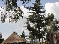 2012095718 Debre Berhan -Ethioipia - Sep 28