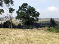 2012095753 Haile Miriam Mamo School - Debre Berhan - Ethiopia - Sep 28
