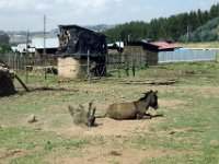 2012095775 Debre Berhan -Ethioipia - Sep 28