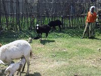 2012095800 Debre Berhan -Ethioipia - Sep 28