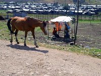 2012095812 Debre Berhan -Ethioipia - Sep 28