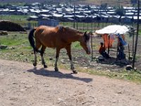 2012095813 Debre Berhan -Ethioipia - Sep 28