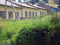 2012095814 Debre Berhan -Ethioipia - Sep 28