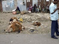 2012095869 Debre Berhan -Ethioipia - Sep 28