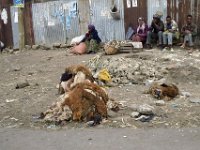 2012095870 Debre Berhan -Ethioipia - Sep 28