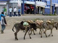 2012095872 Debre Berhan -Ethioipia - Sep 28