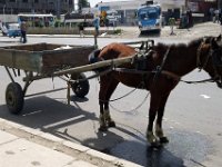 2012095898 Debre Berhan -Ethioipia - Sep 28