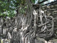 2012097311 Fasilidas Pool - Gondar Ethiopia - Oct 03