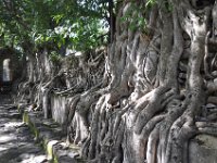 2012097312 Fasilidas Pool - Gondar Ethiopia - Oct 03