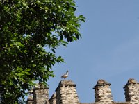 2012097325 Fasilidas Pool - Gondar Ethiopia - Oct 03