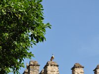 2012097327 Fasilidas Pool - Gondar Ethiopia - Oct 03