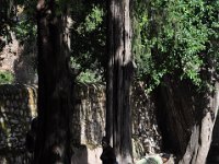 2012097331 Fasilidas Pool - Gondar Ethiopia - Oct 03