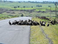 2012097365 Barhar Dar - Ethioipia - Oct 03