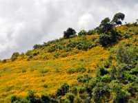 2012097423 Barhar Dar - Ethioipia - Oct 03