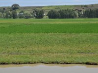 2012097444 Barhar Dar - Ethioipia - Oct 03