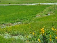 2012097448 Barhar Dar - Ethioipia - Oct 03