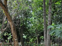 2012097467 Barhar Dar - Ethioipia - Oct 03