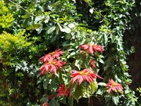 2012096123 Tukul Village Hotel - Lalibela - Ethiopia - Sep 29