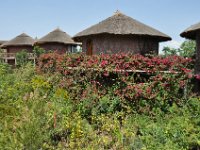 2012096130 Tukul Village Hotel - Lalibela - Ethiopia - Sep 29