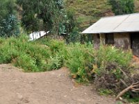 2012096191 Monastery of Yemrehanna Kristos  - Bilbilla - Ethiopia - Sep 29