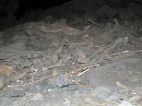 2012096288 Monastery of Yemrehanna Kristos  - Bilbilla - Ethiopia - Sep 29