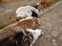 2012096316 Monastery of Yemrehanna Kristos  - Bilbilla - Ethiopia - Sep 29