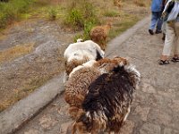 2012096317 Monastery of Yemrehanna Kristos  - Bilbilla - Ethiopia - Sep 29