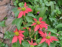 2012096561 Lalibella -Ethioipia - Sep 30