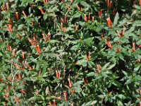 2012096563 Lalibella -Ethioipia - Sep 30