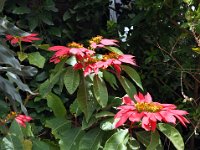 2012096564 Lalibella -Ethioipia - Sep 30