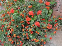 2012096565 Lalibella -Ethioipia - Sep 30