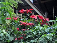 2012096709 Lalibella -Ethioipia - Sep 30