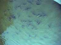 1983061027 Paris - France - Jul 12