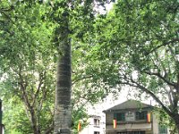 2005072386 Fontaine de Vaucluse-Provence-France