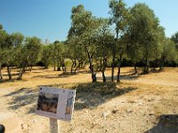 2005072289 Glanum Ruins-Provence-France