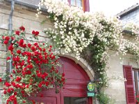 2008062897  Betty-Darrel-Yvette-Felicia-Suzette-Adara Beauvais France