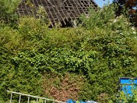 2008063006  Betty-Darrel-Yvette-Felicia-Suzette-Adara Beauvais France