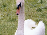 1983060138 Oberammergau and Linderhof Castle, Germany - Jun 27