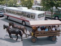 1983060061 Rothenberg, Germany - June 25
