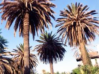 1990072785 Gilbraltar (July 30)