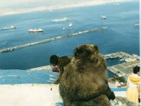 1990072812 Gilbraltar (July 30)