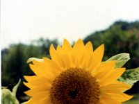 1991001322 Darrel-Betty-Darla Hagberg - Greece Vacation